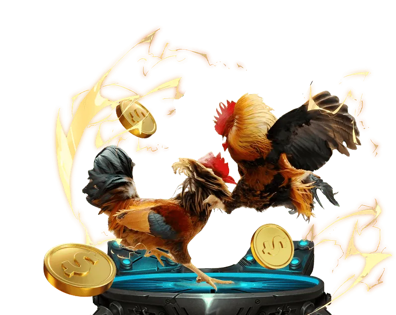 Vòng quay miễn phí bmwbet